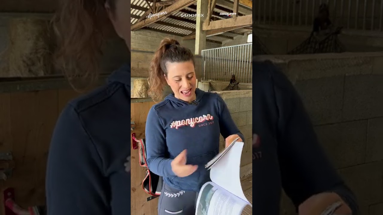 Les différents types de propriétaires qui vendent leur cheval 🤣👌🏻