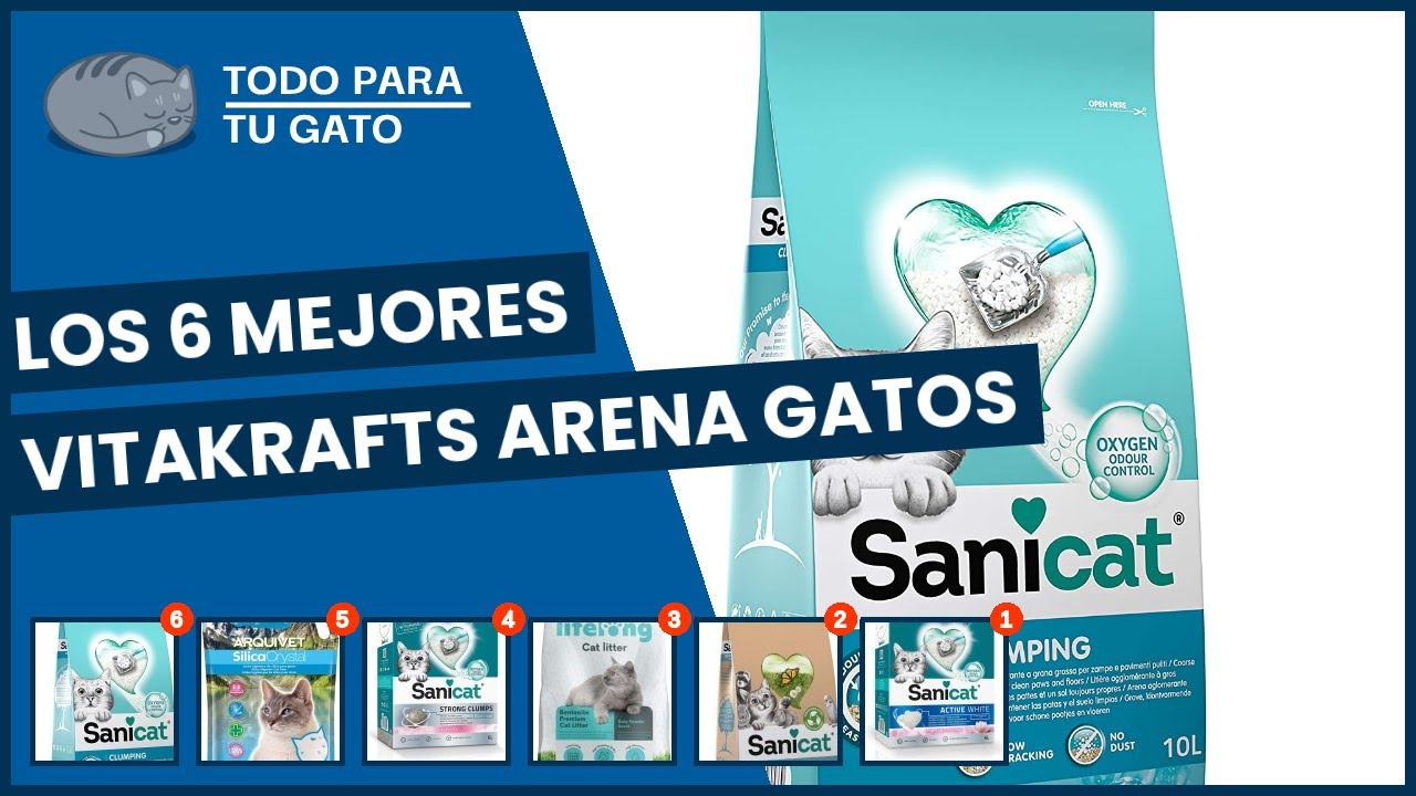 Vitakrafts arena gatos: ¿Cuál es el mejor del 2022?