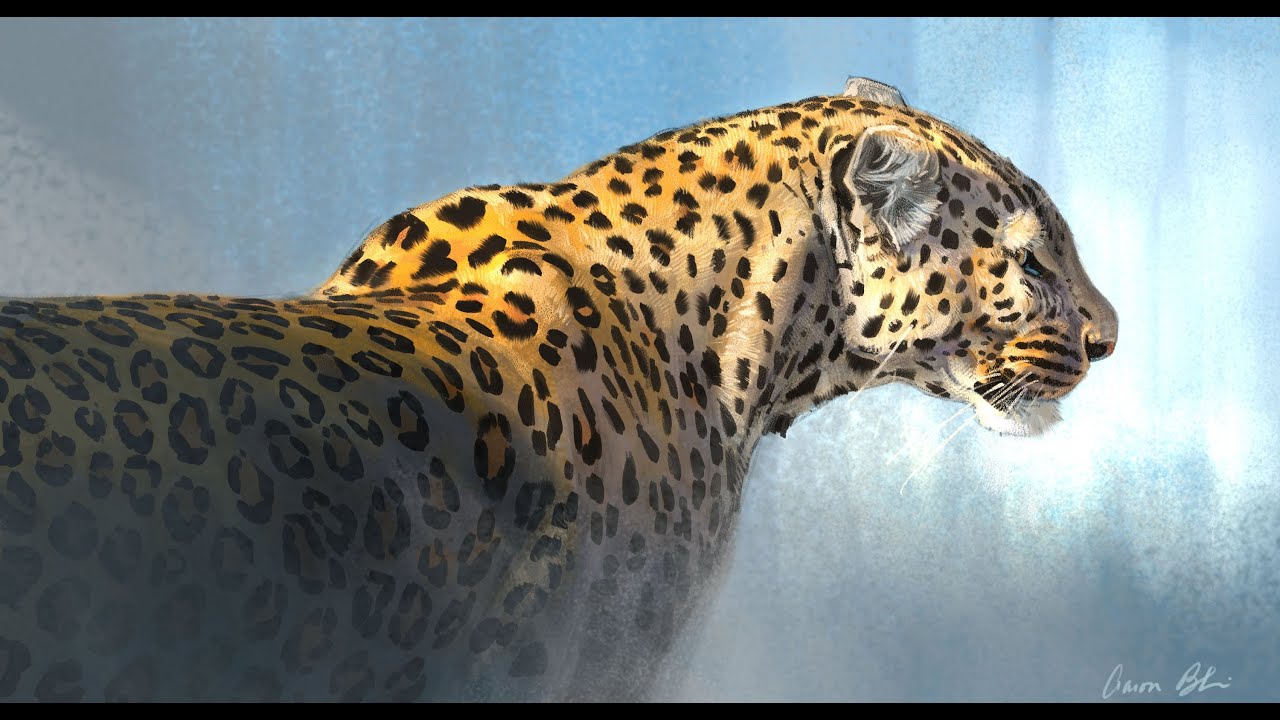 Digital Leopard Sketch done in Photoshop CC done on my Wacom Cintiq 24