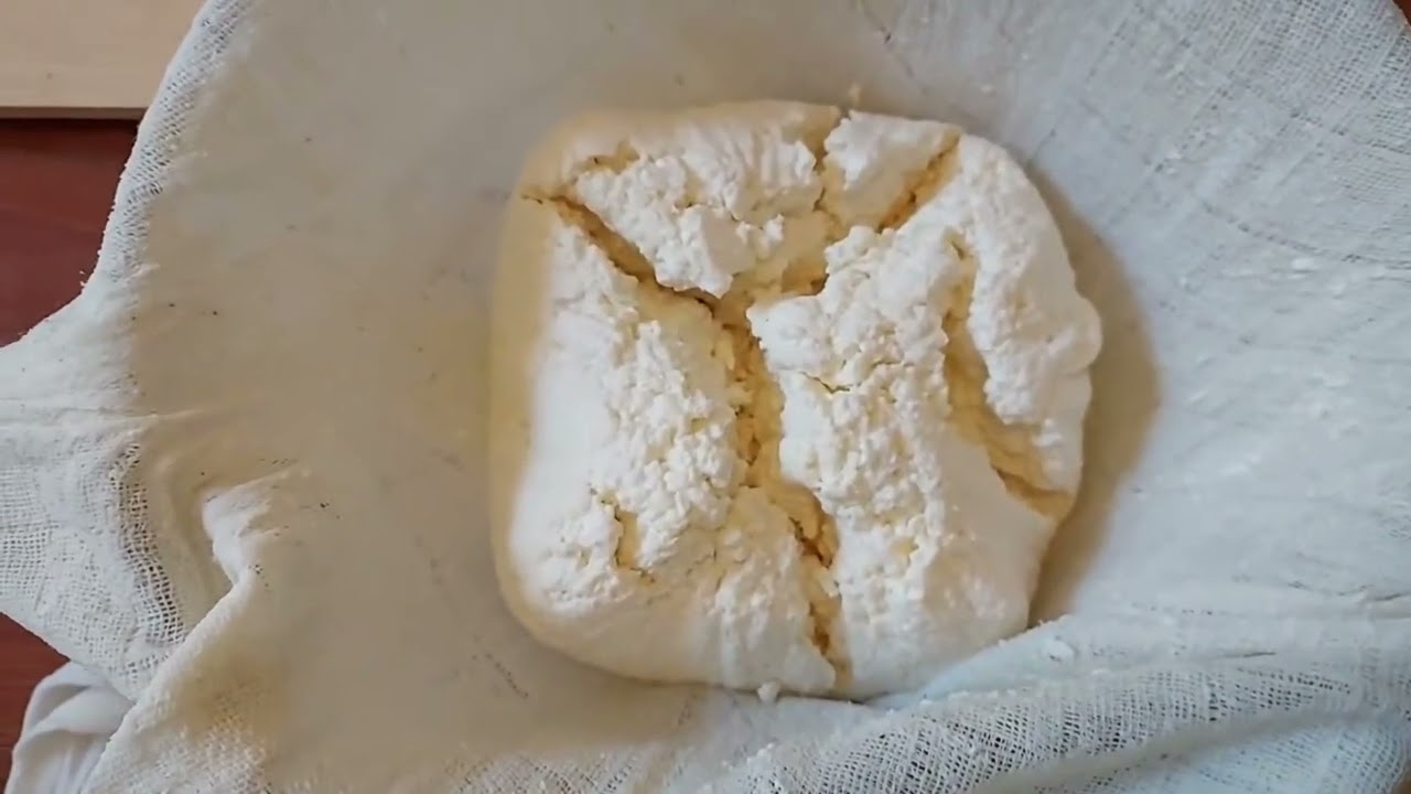 Raw unsalted cheese making guide Primal Diet&trade; Aajonus approved