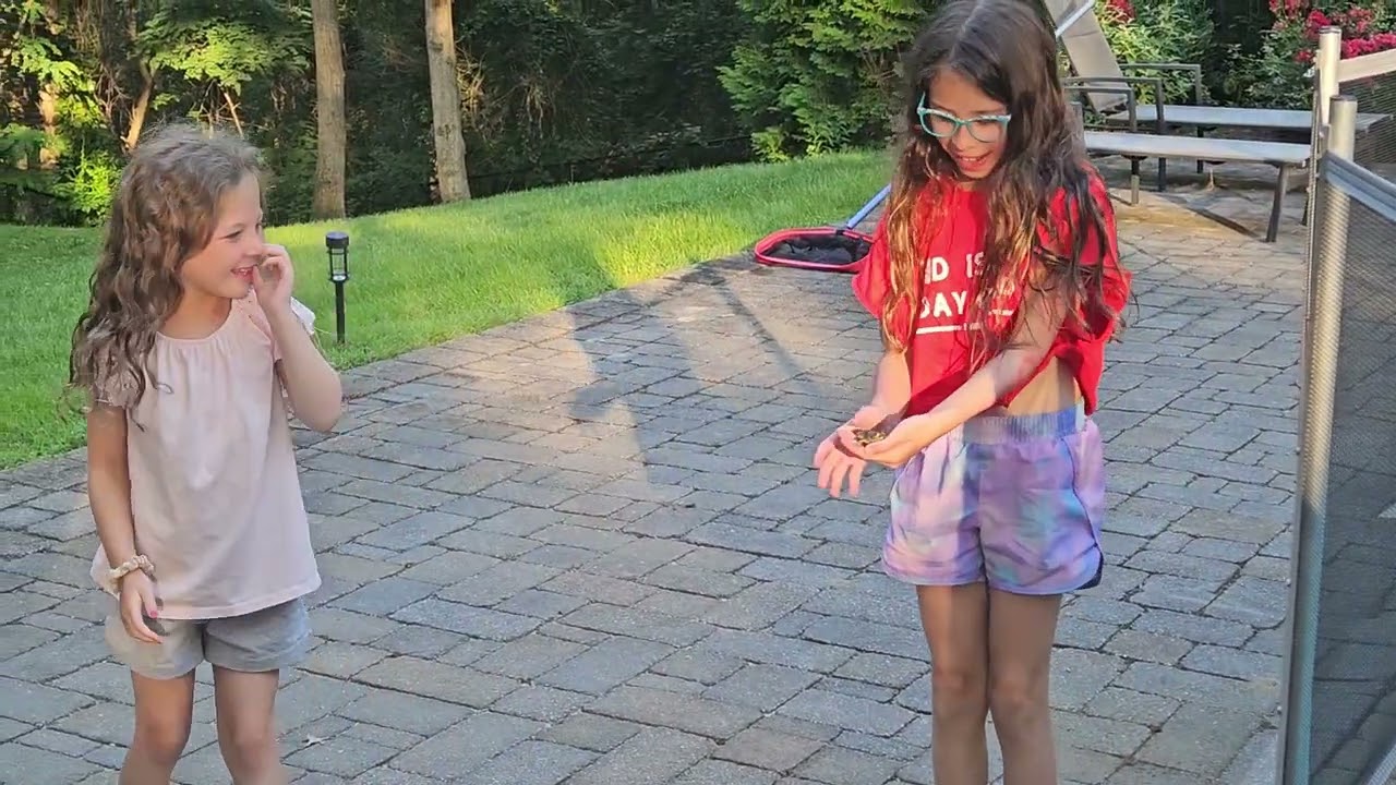 Frog and Giant Butterfly Backyard Discovery