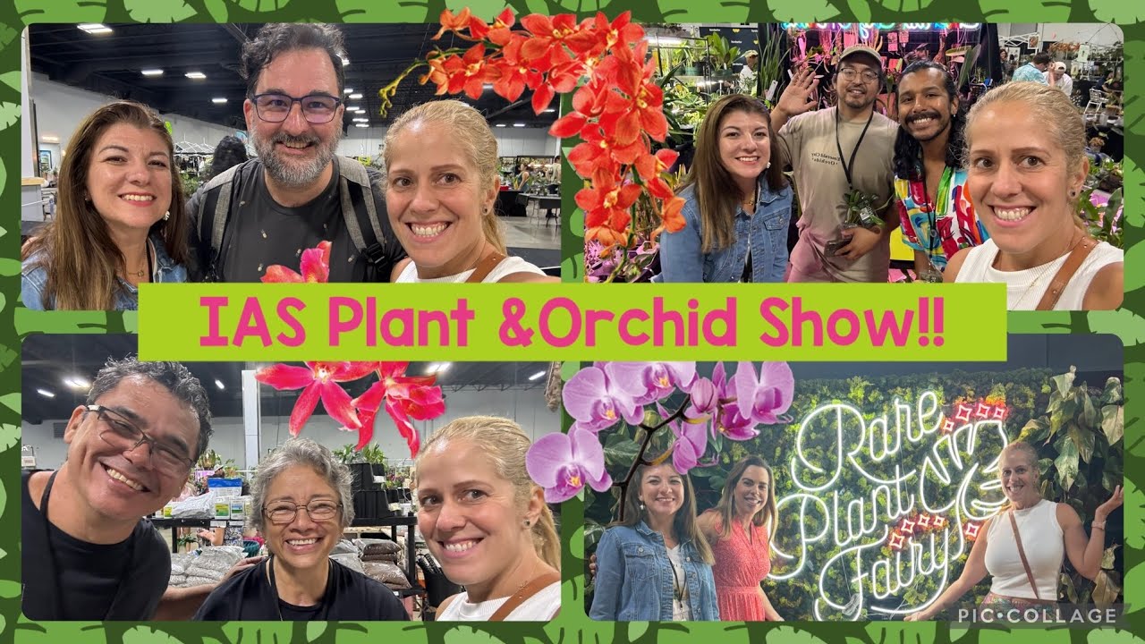 IAS Exotic Plant & Orchid Show-Miami -  Tamiami -September 2024- Aroid Society