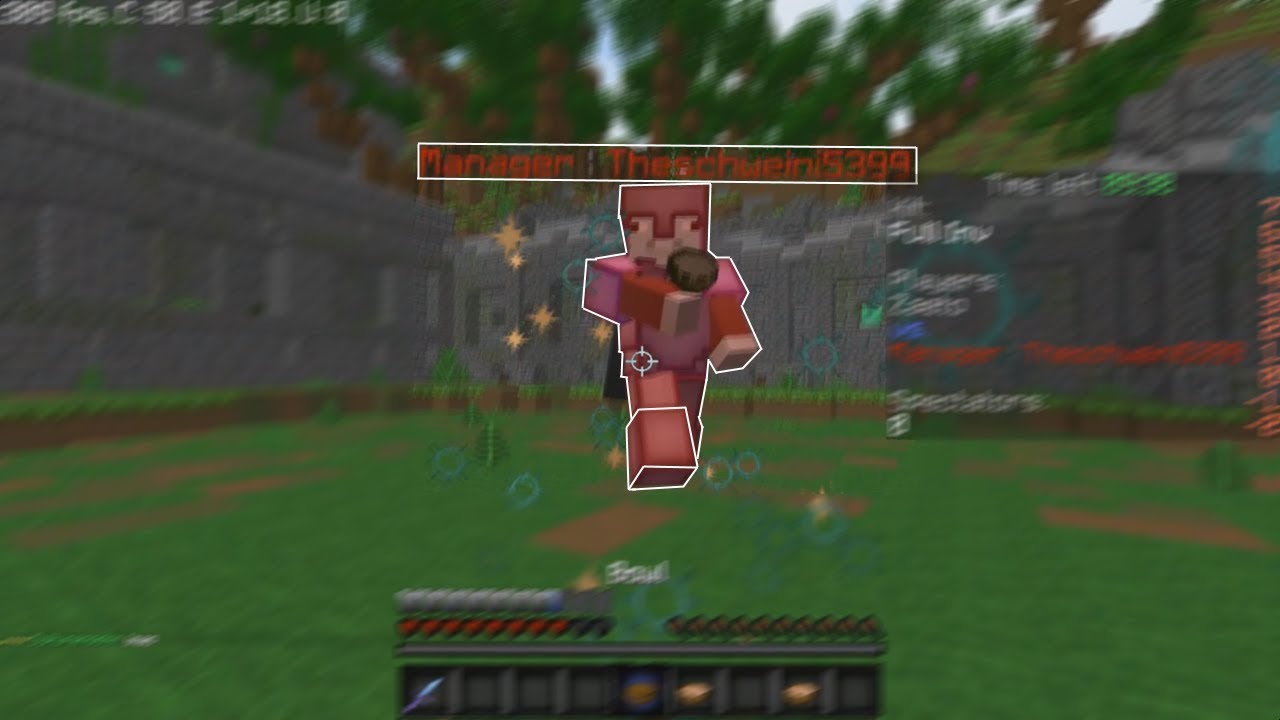 Schweiney 💓 | How to get banned on Minekits