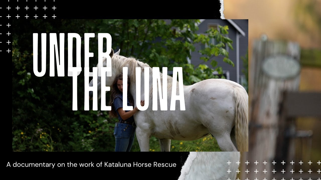 Under the Luna -- Kataluna Horse Rescue Documentary (2024)