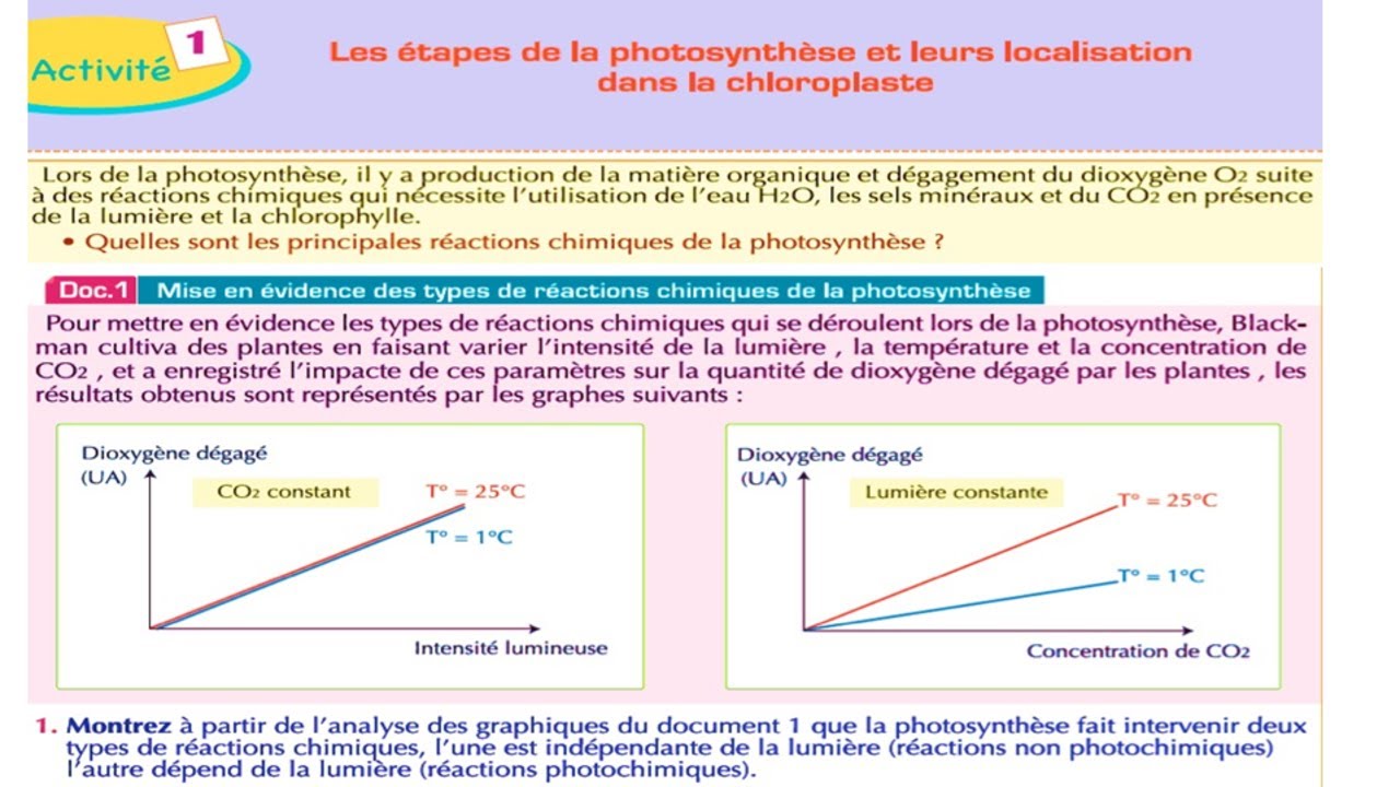 Les étapes de la photosynthèse et leur localisation dans la chloroplaste svt 1 bac (شرح بالداريجة)