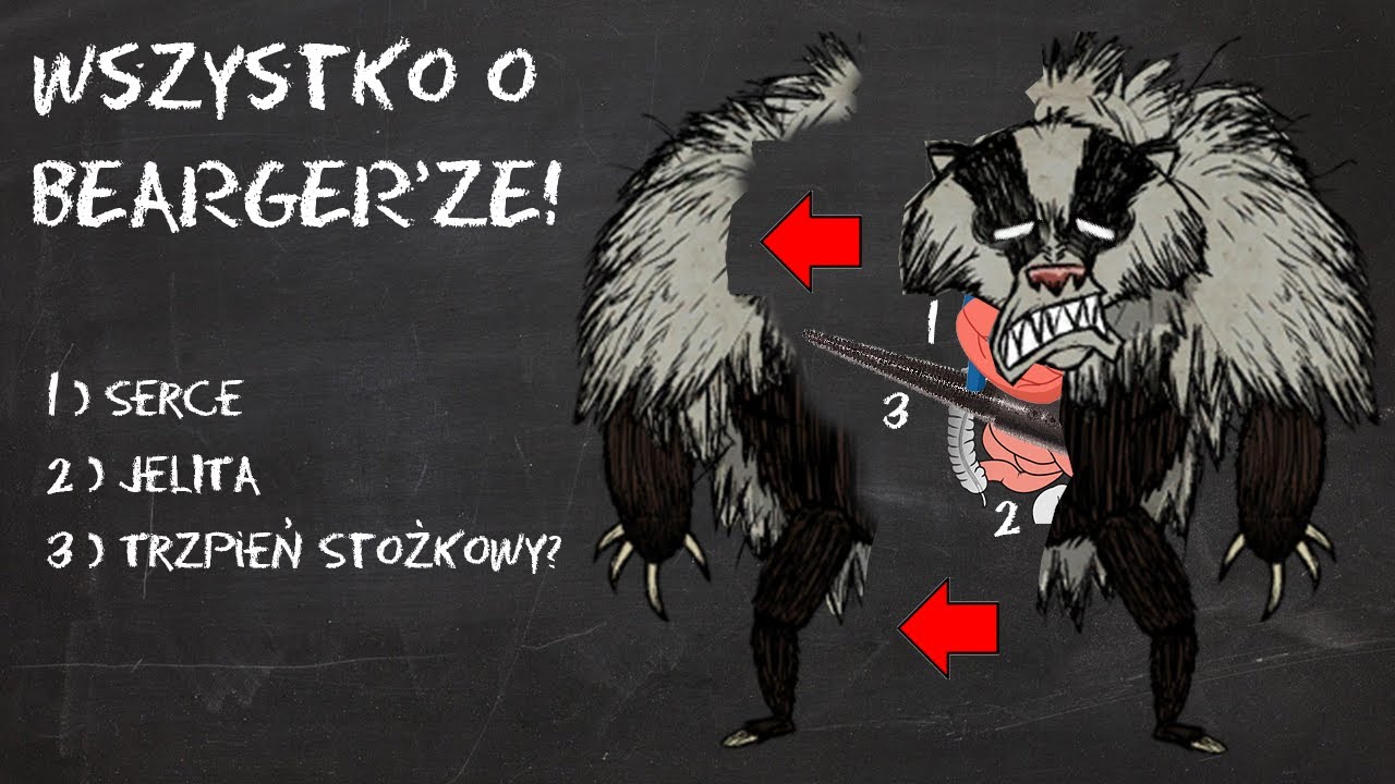 Wszystko o BORSUKONIEDŹWIEDZIU!