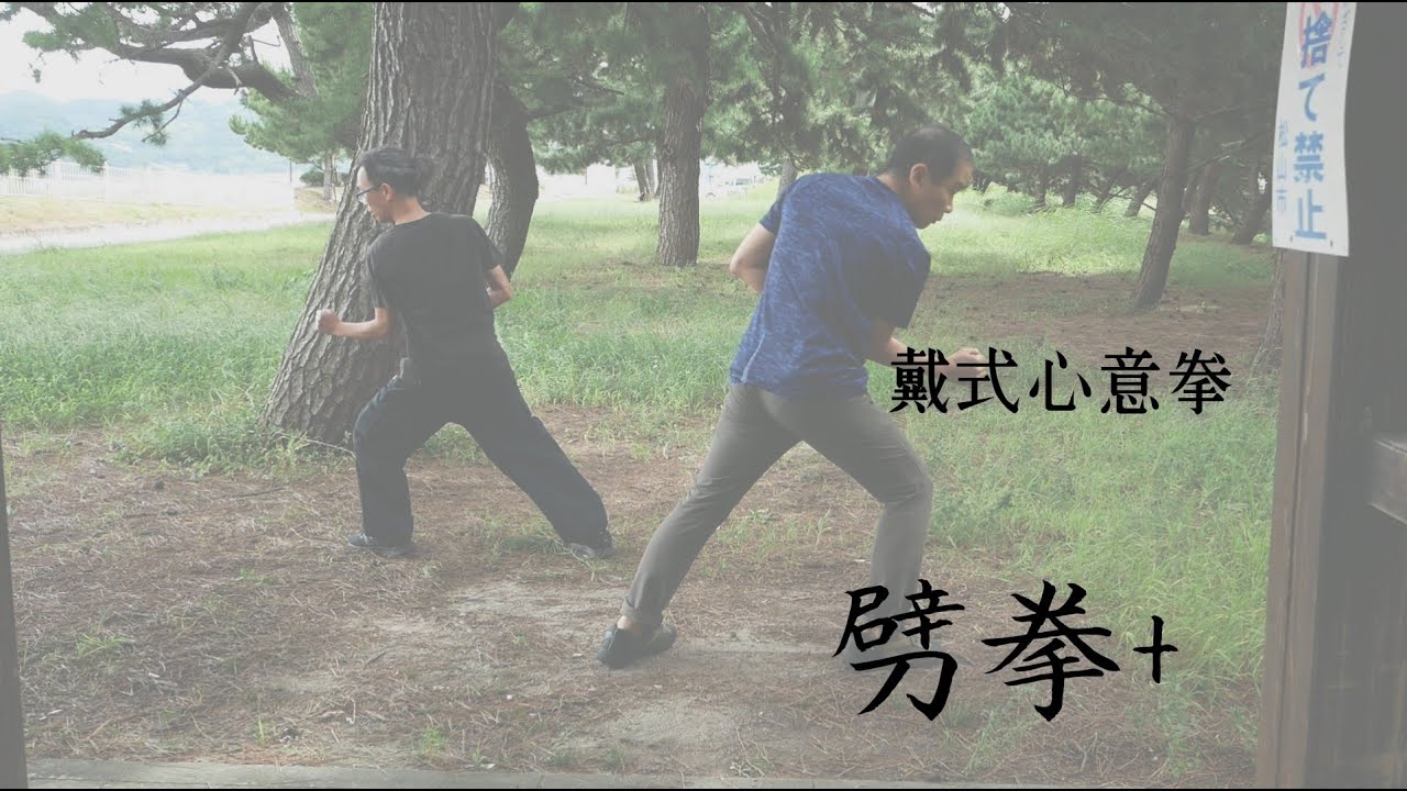 戴式心意拳「劈拳+」vol.69  Dai shi Xinyi  Chinese Martial Arts　中国武術 Kungfu  wushu