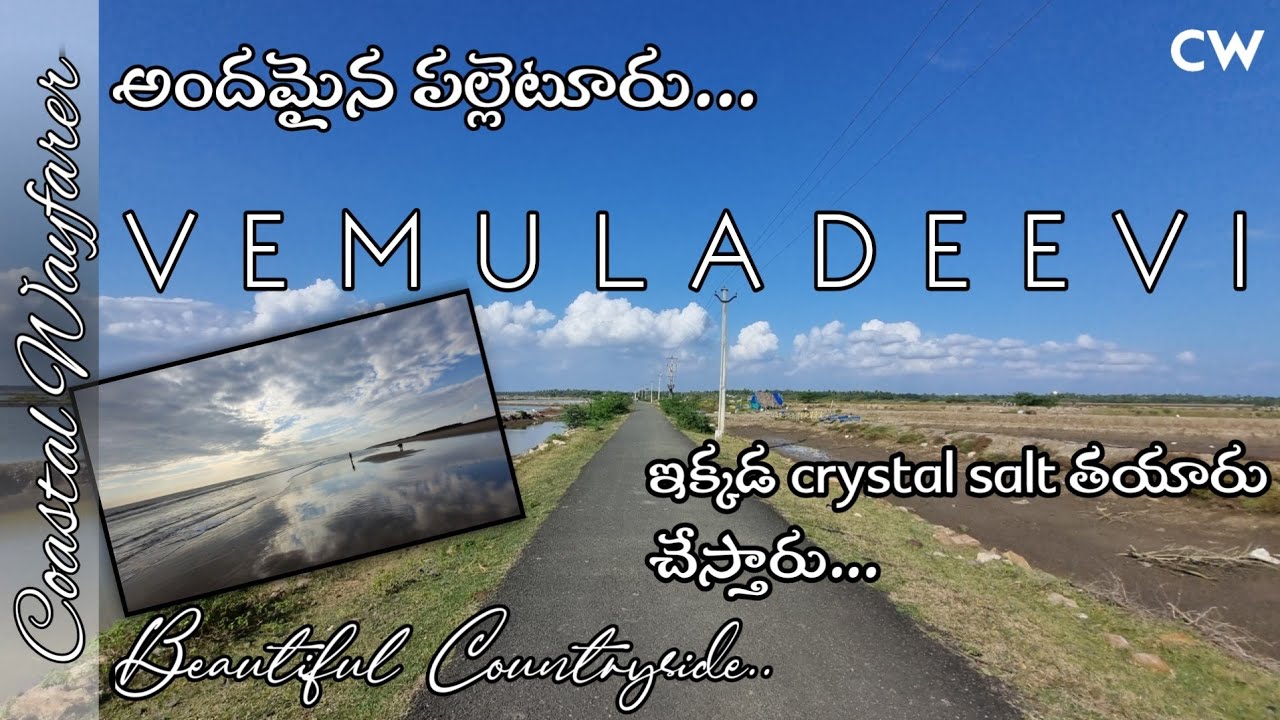 Vemuladeevi Beach, Narasapur | Telugu Countryside | Coastal Wayfarer