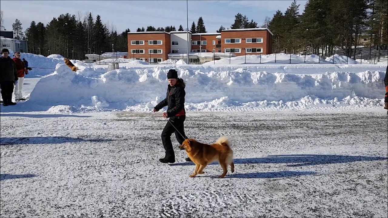 Paras uros Kemijarvi RN 24032018