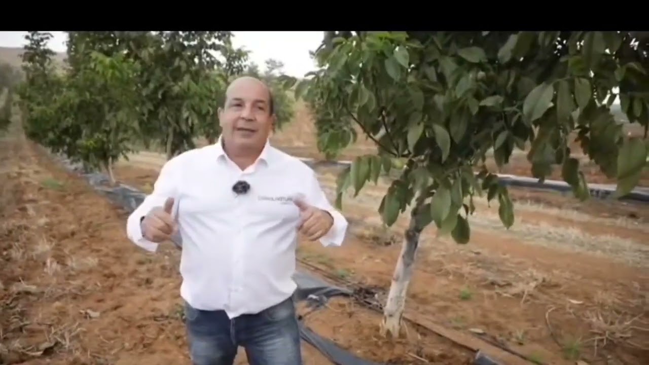 Recolección de nueces 2022 - La Besana