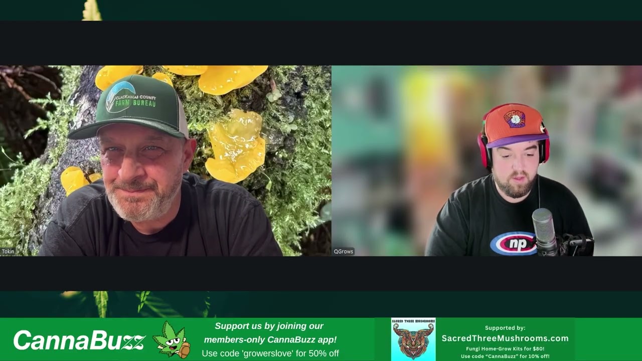 Let's Chat! JR Tokin & QGrows get ready for Spring