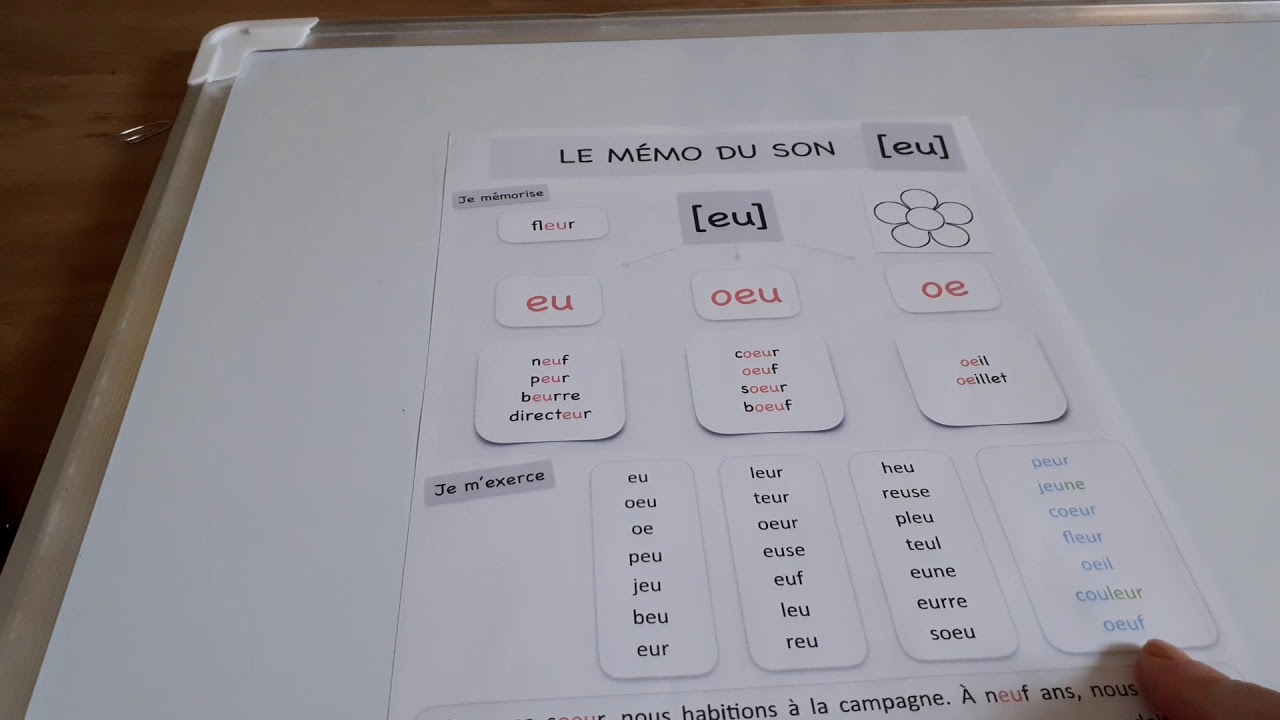 Lecture fiche CE1 : mémo du son eu oeu oe