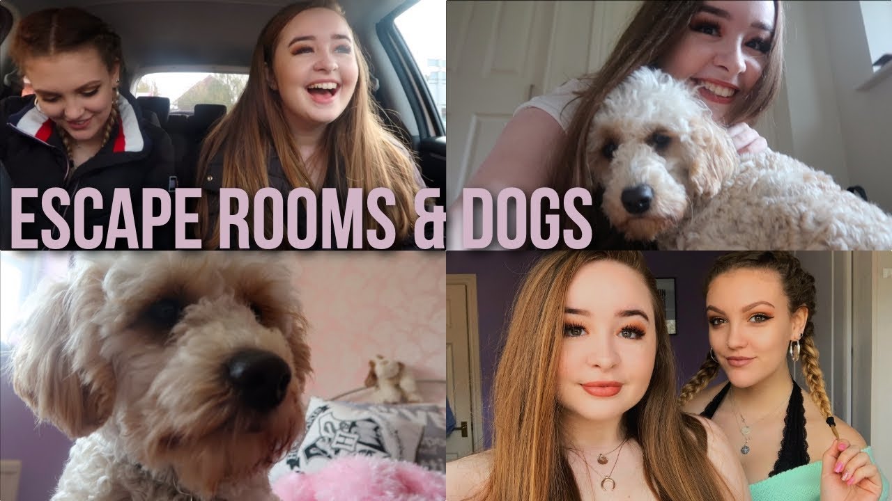 ESCAPE ROOMS & DOGS