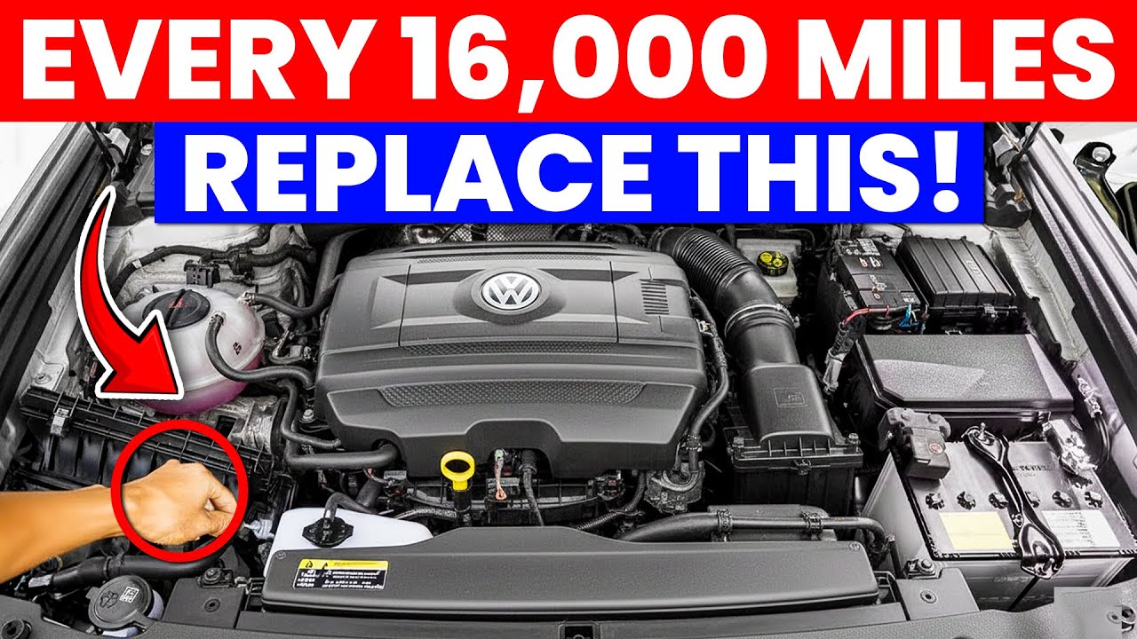 How To Make Your VOLKSWAGEN Last 300,000 Miles - The Secret Mechanics Don’t Tell You
