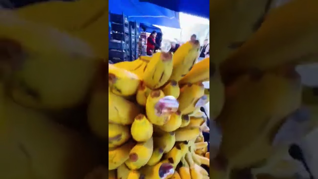 yerli muz , on numara #online #muz #tanyeri #tarım #viral
