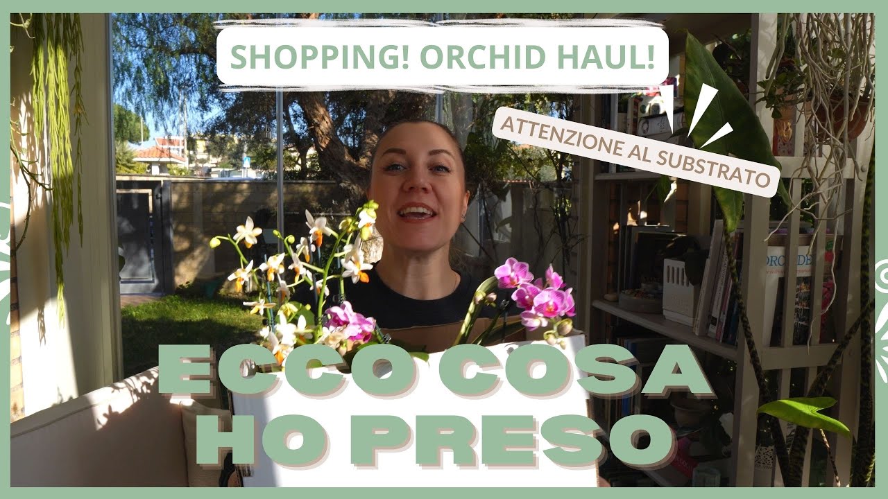 Nuovi acquisti orchid haul Sogo Vivien e phalaenopsis mini mark, attenzione al substrato!