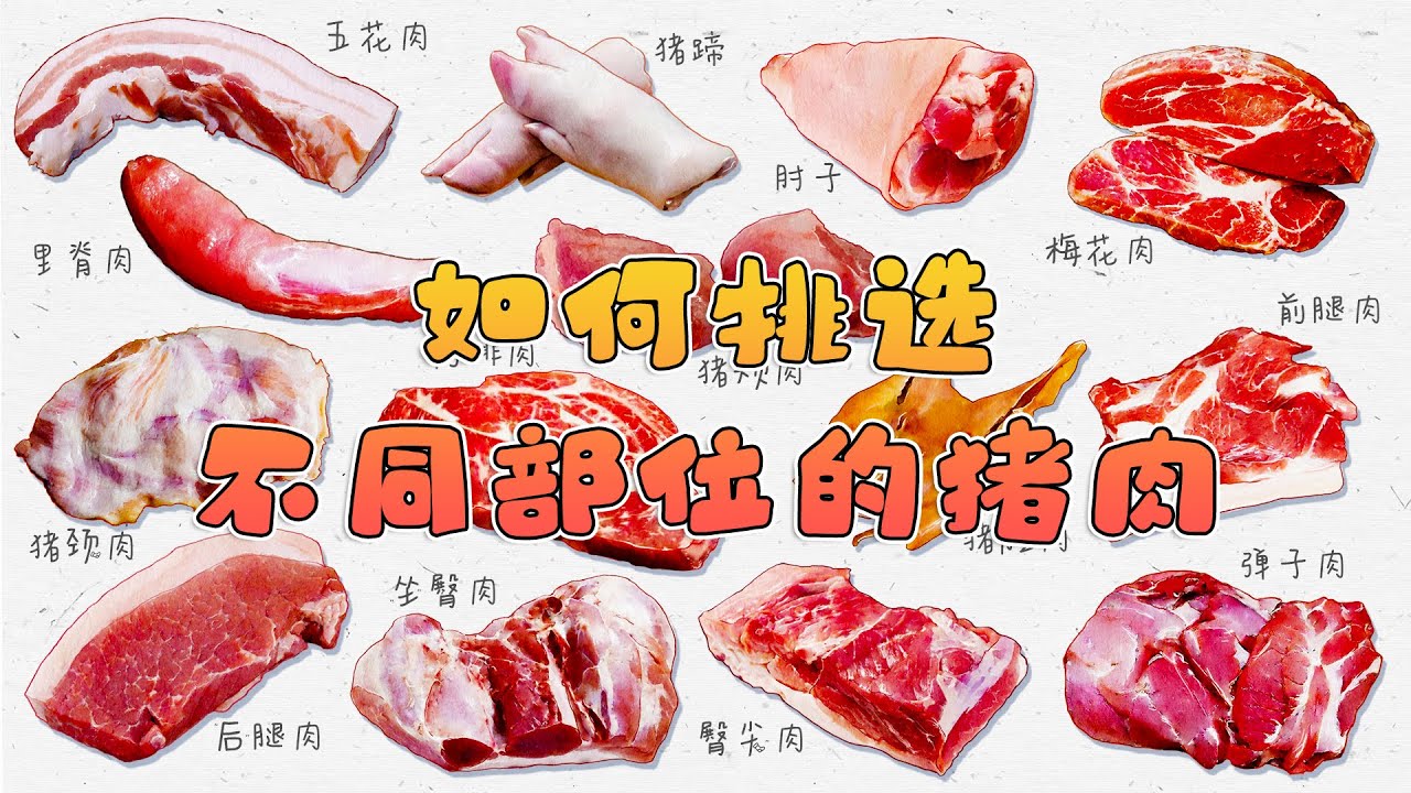 教你如何挑选好吃的猪肉 不同部位的猪肉最适合制作的美味有哪些 猪肉分类