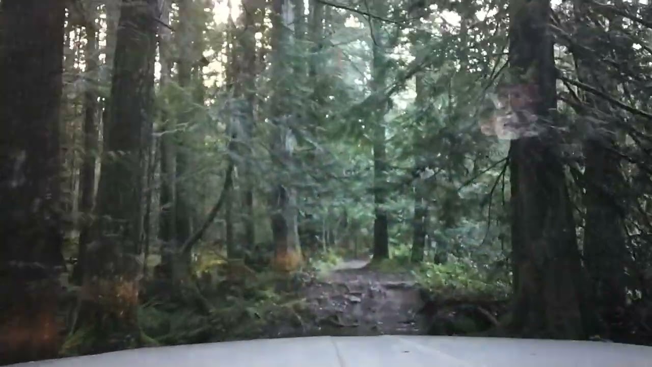Timbertraveling Feb 8th 2026