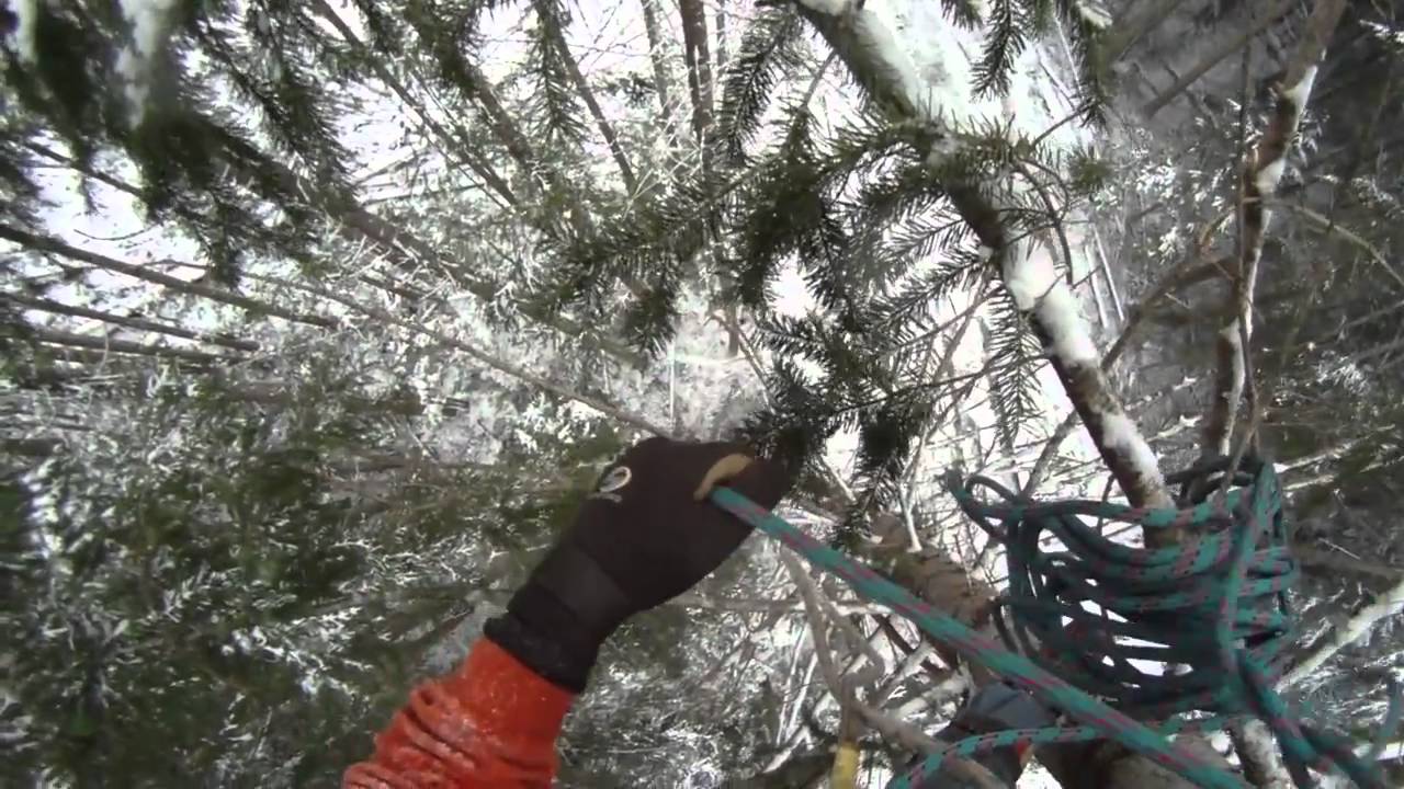 Snowy Windfirming