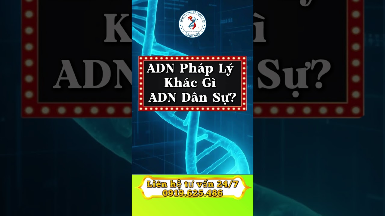 ADN Ph&aacute;p L&yacute; Kh&aacute;c G&igrave; ADN D&acirc;n Sự? Đừng Nhầm Khi L&agrave;m Hồ Sơ 2026  #adngeneviet
