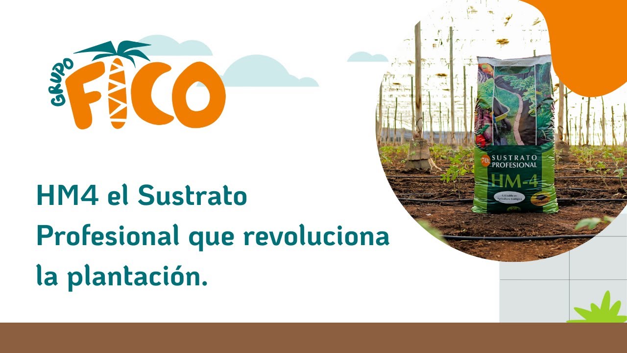 Consigue Raíces más Fuertes en tu Plantación con HM4 #sustrato profesional 🌱