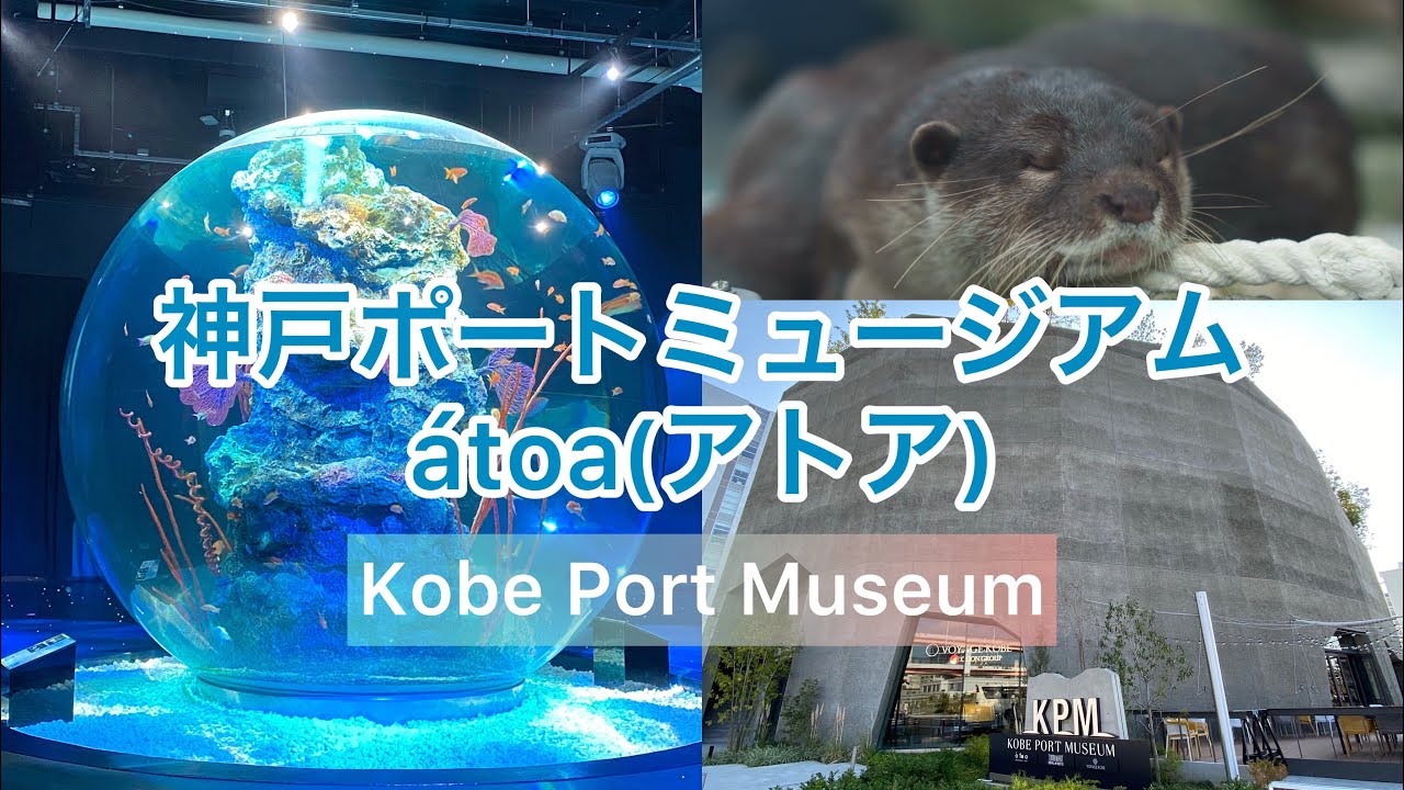 神戸ポートミュージアム atoa アトア 水族館 KPM Kobe Port Museum