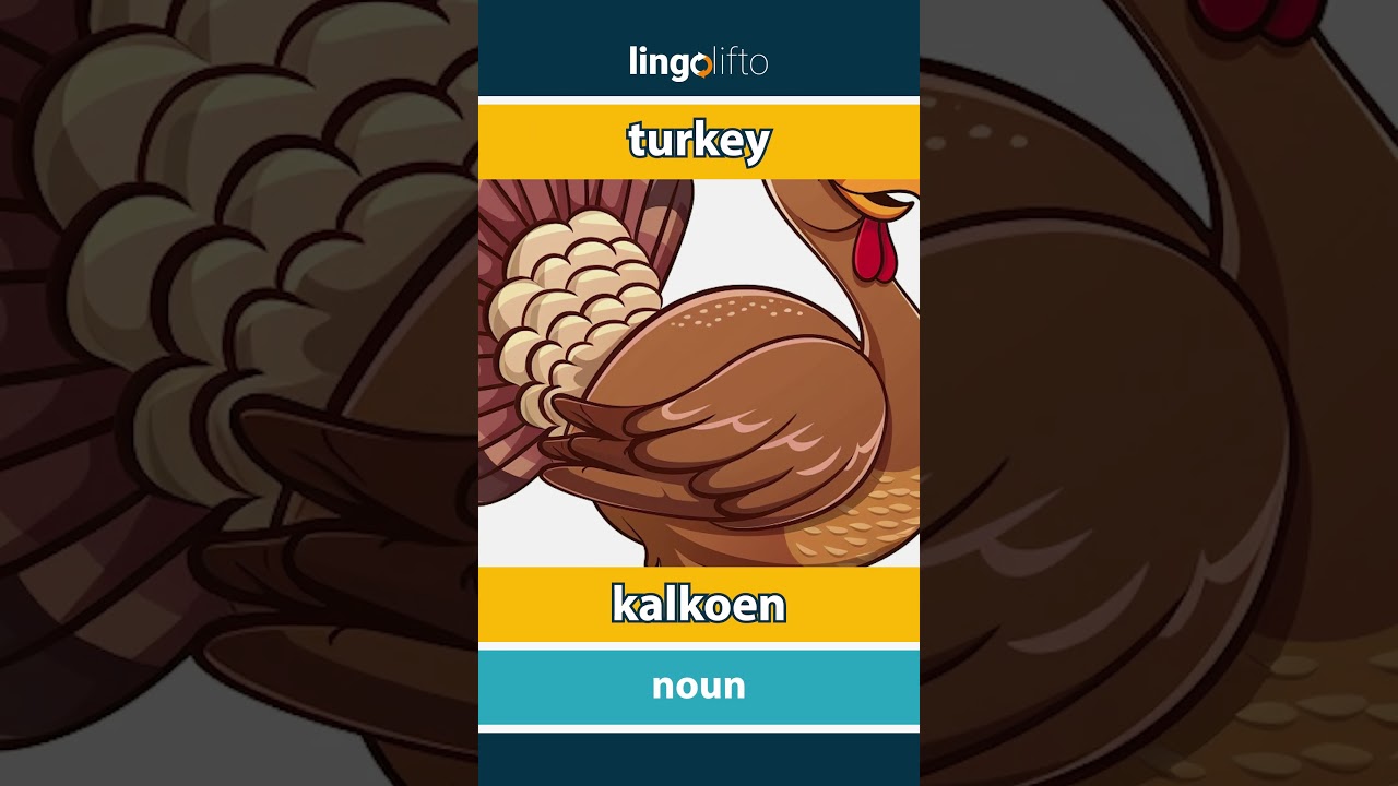 🇬🇧🇳🇱 turkey - kalkoen : vocabulary builder : learn English : laten we Engels leren