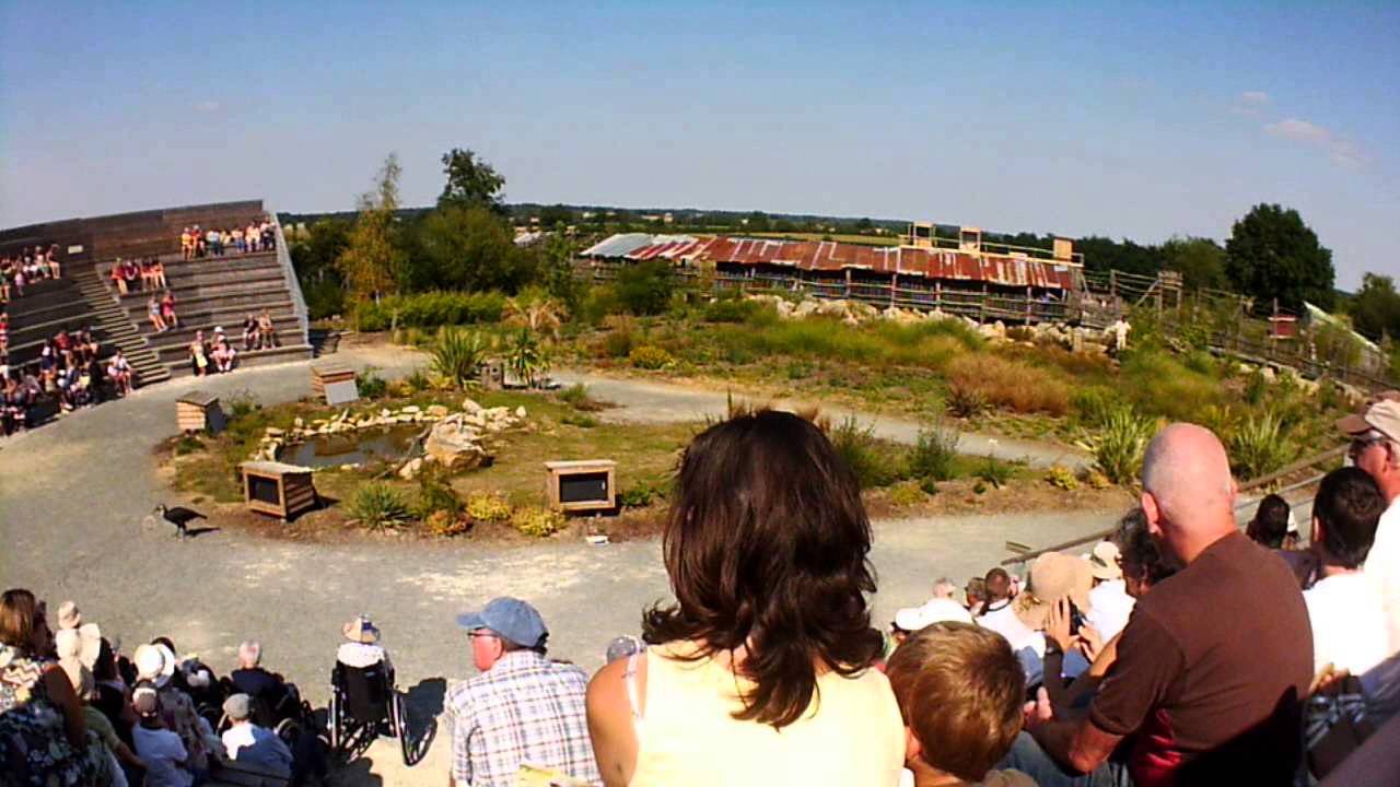 spectacle oiseaux 2013 Zoo la boissière du doré partie1