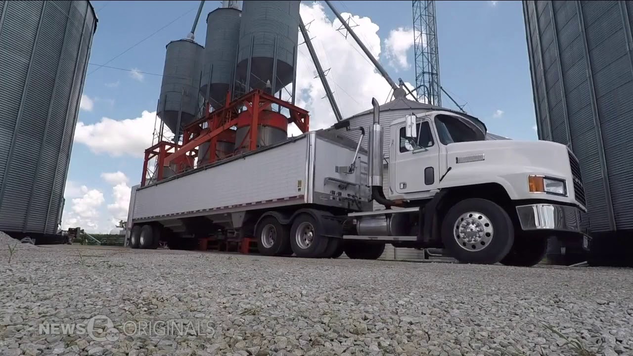'Oh, it's been a nightmare' - Hemp farmers face problems with banks as Ohio's rules take effect