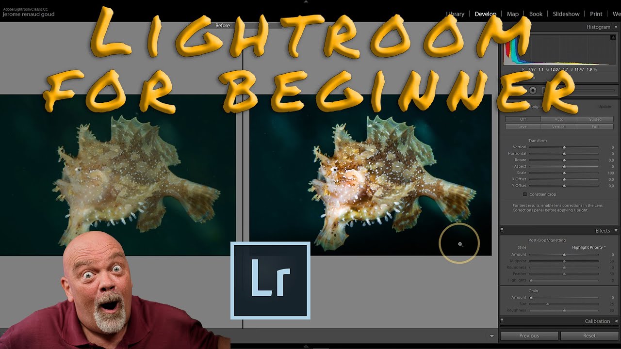 Lightroom for beginners