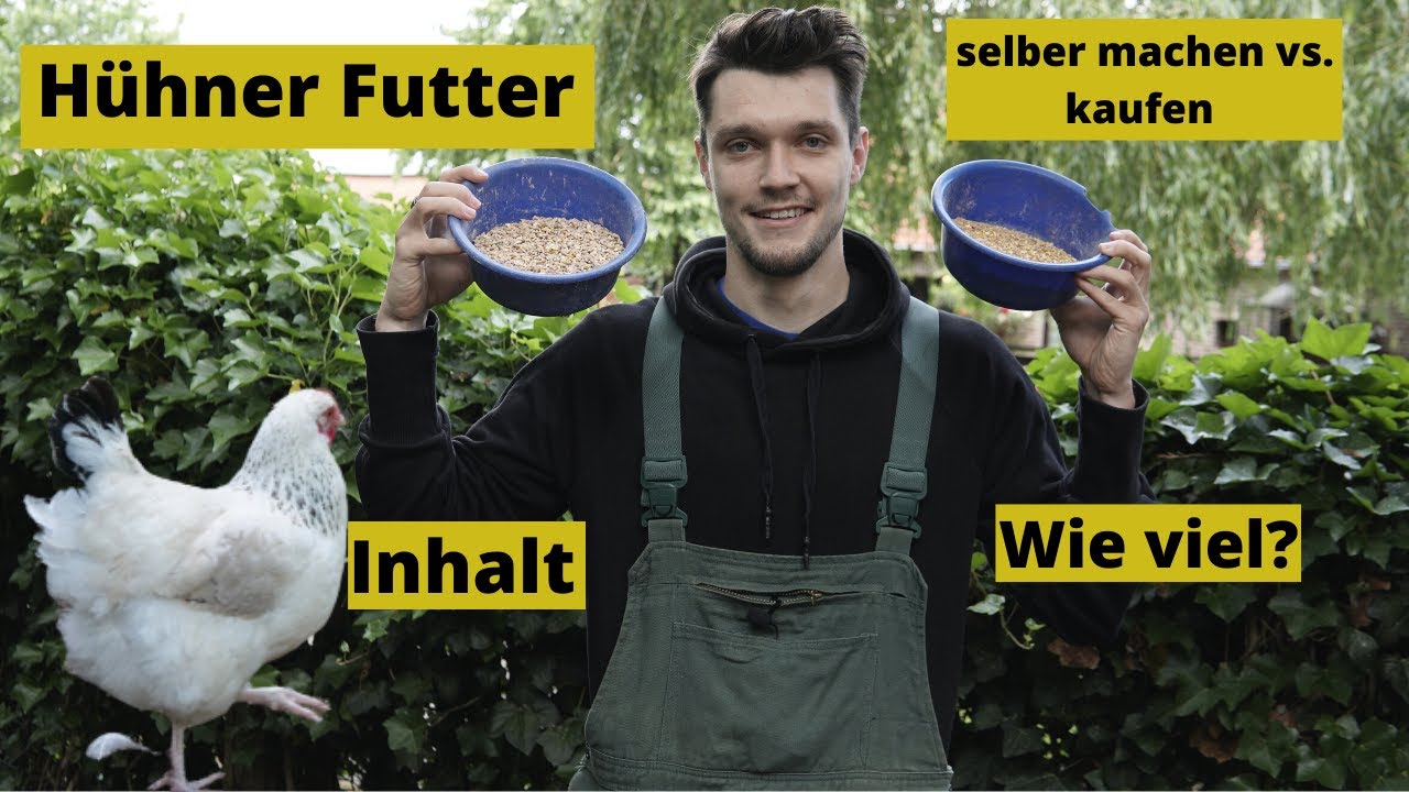 H&uuml;hner richtig ern&auml;hren! Wie viel, womit, woher...?