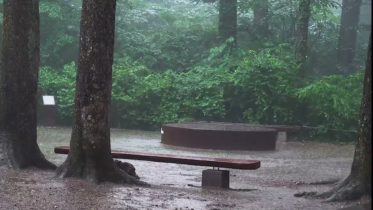5분 안에 잠드는 최고의 폭우 빗소리🌧ㅣ불면증 극복, 수면유도 빗소리, 폭우비로 스트레스 안녕😴