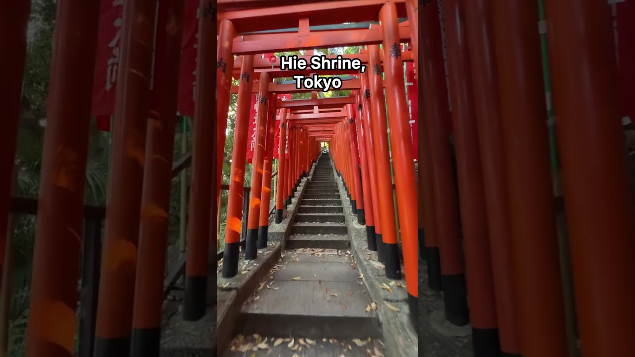 NOBODY Visits this TORII TUNNEL in Japan! Discover Hie Shrine in Tokyo! #tokyo
