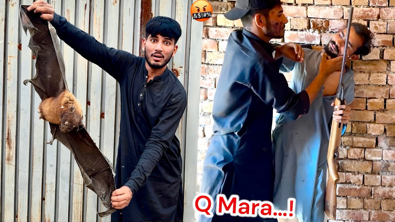 HAMZA NY BHOT BHRE CHAMKADAR🦇 KO MAR DIYA🤬 BIGGEST BAT 🦇