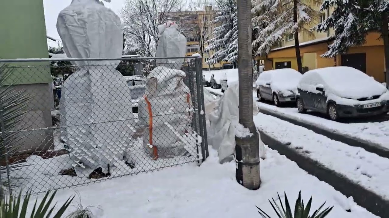 Winter protection zone 6a tropical garden Poland