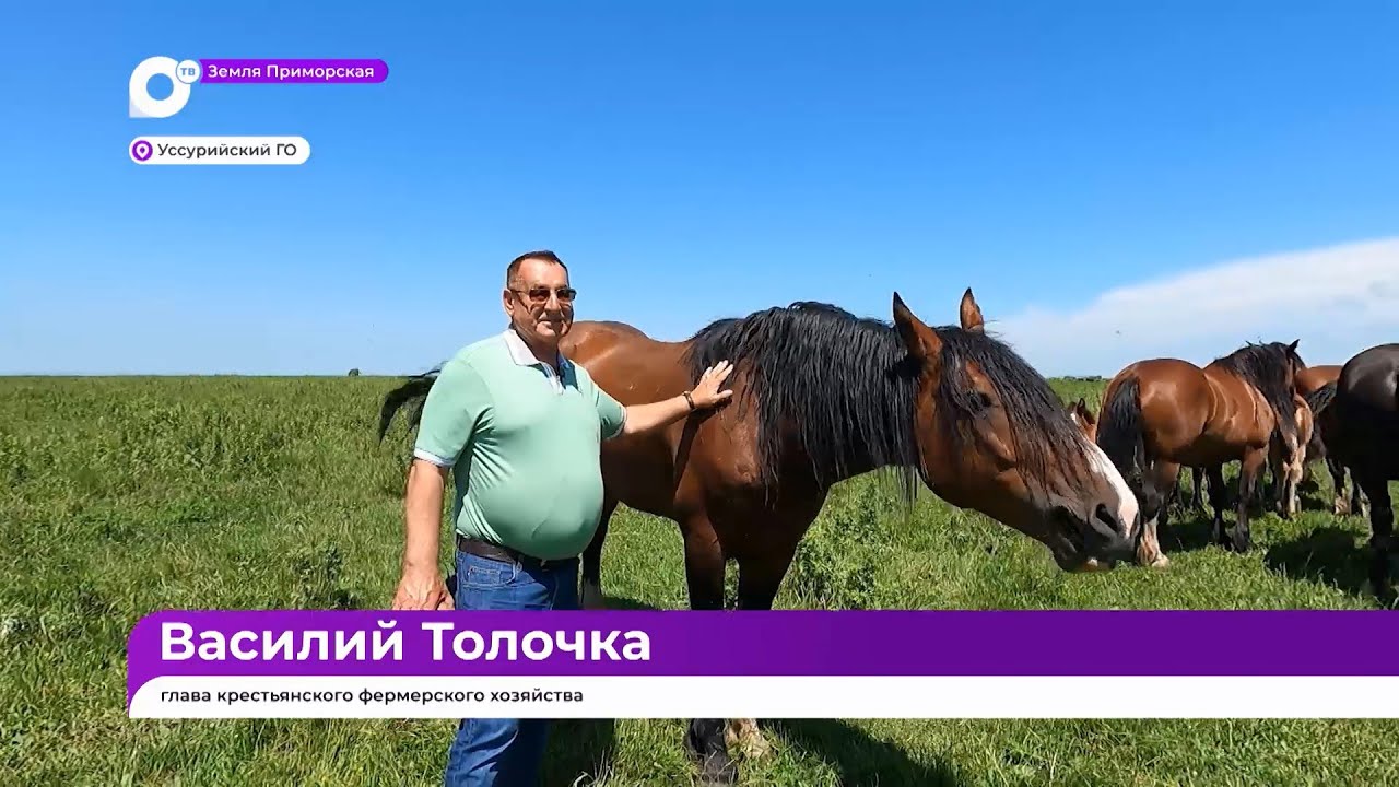 Земля Приморская / Большая ферма / 24.07.23