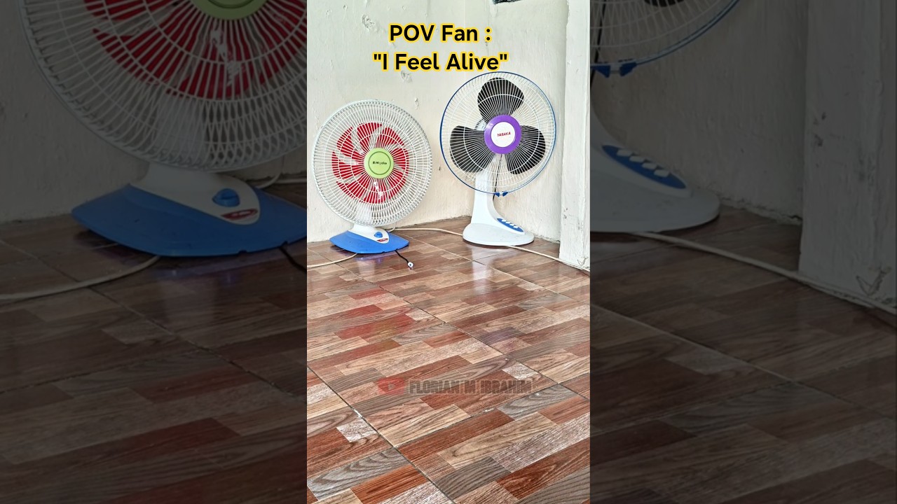 Fan | Fan Playing and Fall ‼️ 
