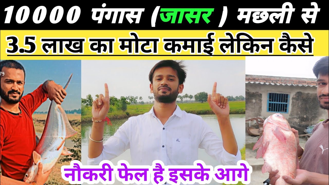 70% किसान इस मछली का ही पालन क्यों करते हैं|| मछली पालन से 7 लाख 🤑🤑 का मोटा कमाई|| fish farming ||