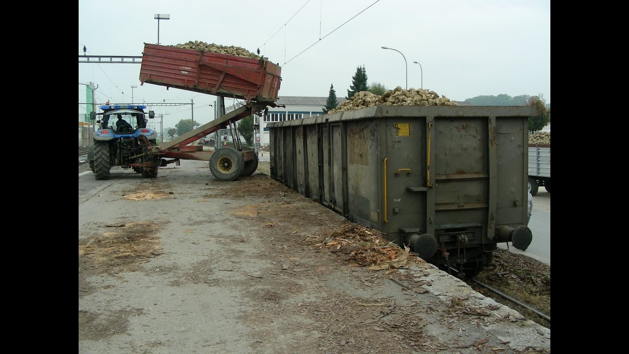 Schweiz, Oktober 2006: Zuckerrüben-Eisenbahn-Verladung und -Transport