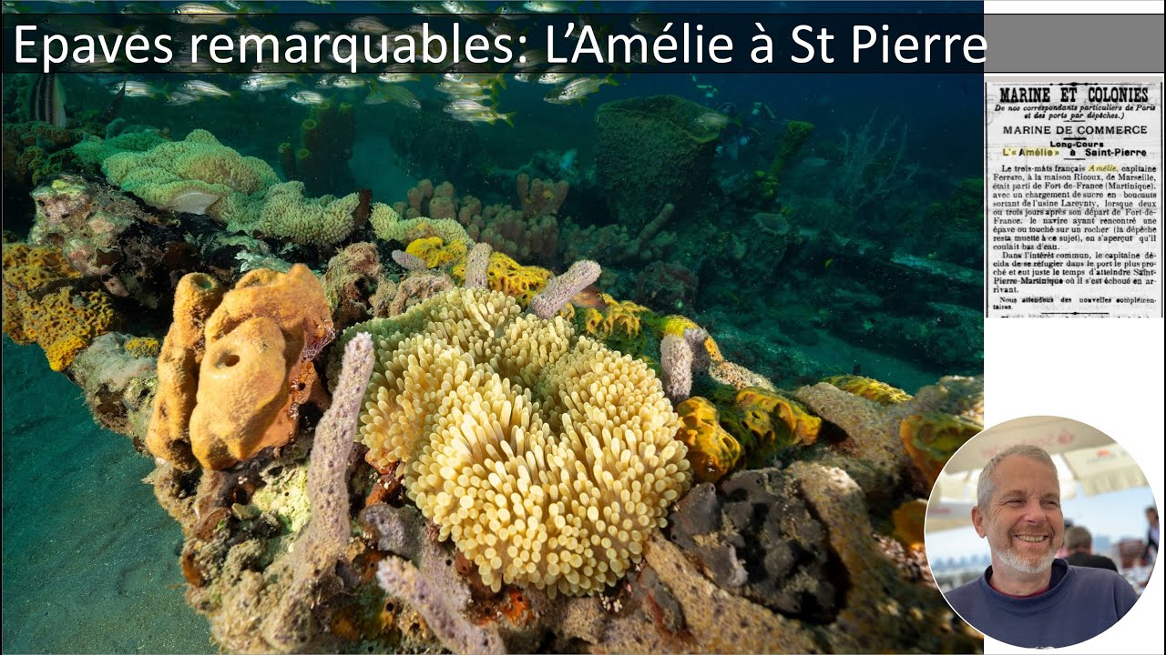 Histoire et plongée sur l'épave du trois-mâts barque Amélie à St Pierre (Martinique)