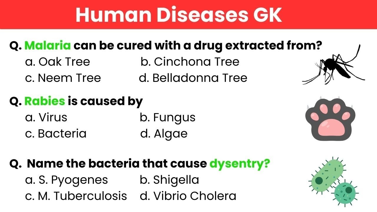 Human Diseases GK #जीके #quiz #exampreparation #staticgk