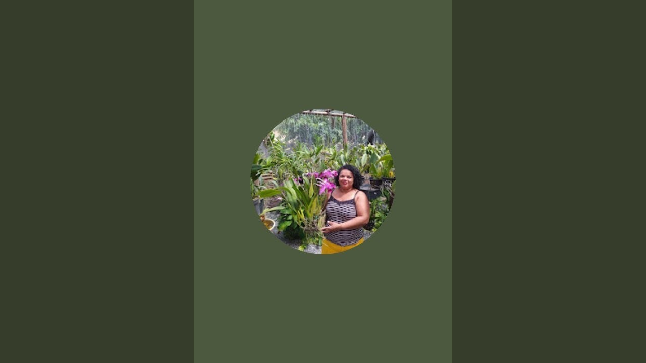 Orquideas da Beth está ao vivo!Live de vendas zap31973483215