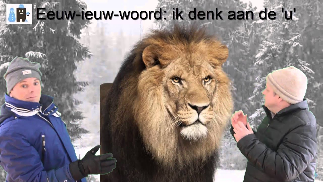 Staal categorie 7: eeuw-ieuw-woord