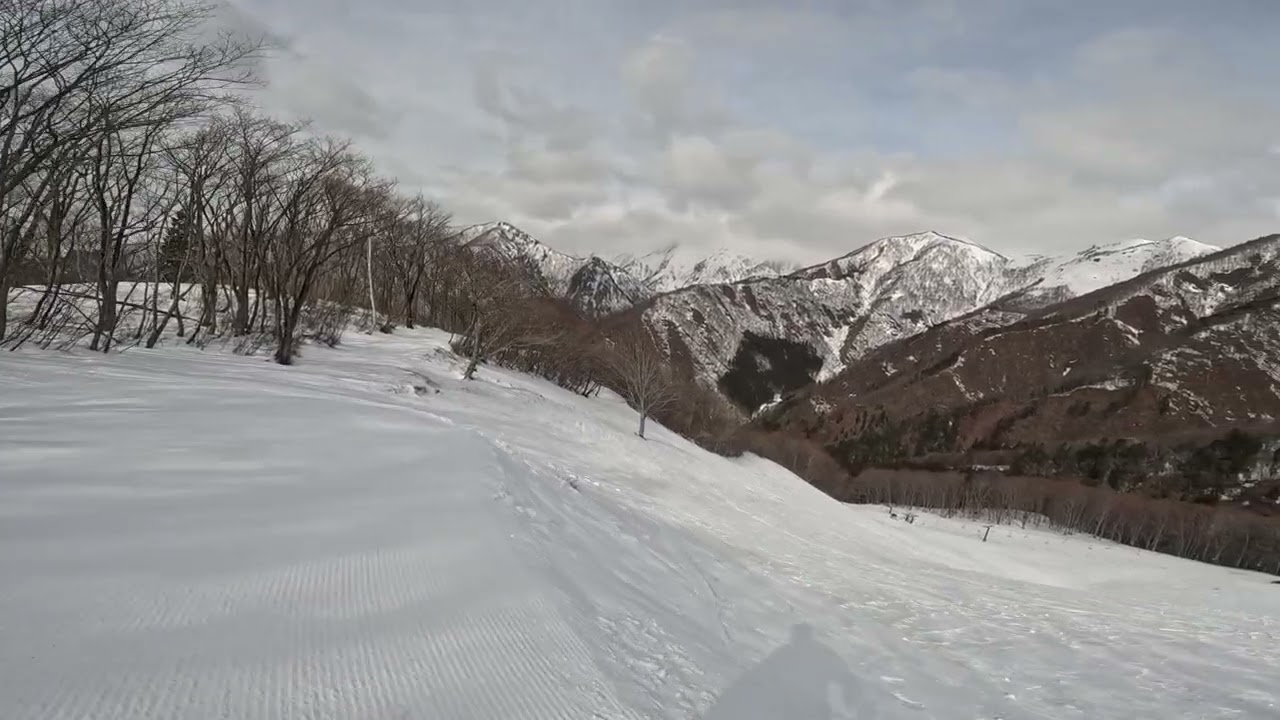 20260313ホワイトバレーみなかみ ホワイトヘブンコース左側非圧雪エリア 1