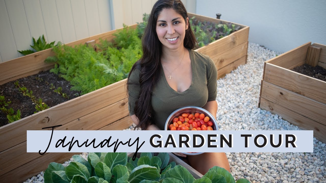 January Garden Tour | Quarantine Vegetable Garden | Mini Urban Farm