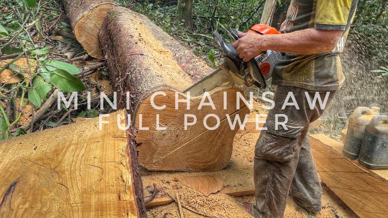 STIHL MS 382 ‼️ PEMBUATAN BALOK PENDEK BAHAN KUSEN PINTU DAN JENDELA MENGGUNAKAN MESIN CHAINSAW MINI