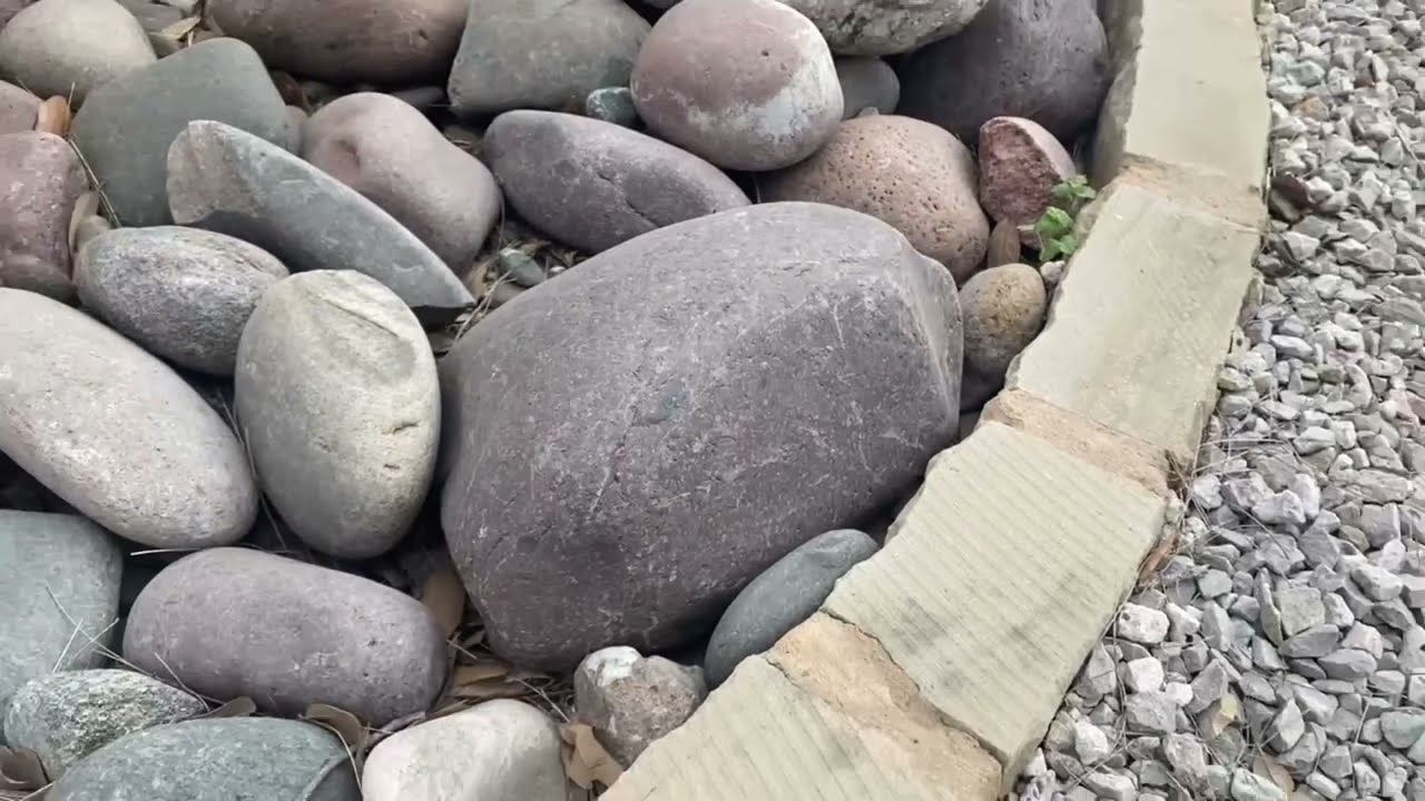 Landscaping 101