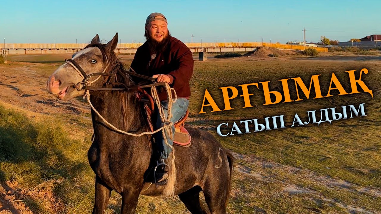Арғымақ сатып алдым. Сүйіндік ауылынан жақсы бір ат келді.