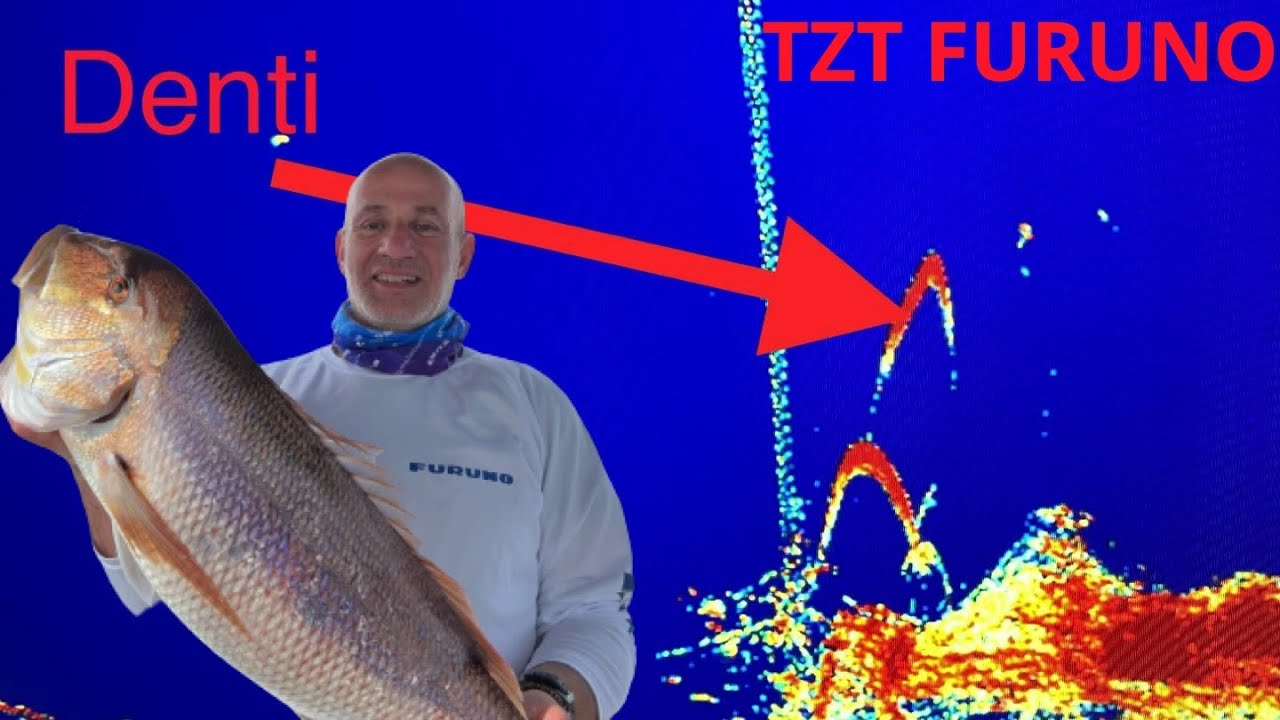 Journée de fou!!, Calamars, Thon et Denti. 15h pour trouver LE DENTI DE 8KG... Tuto sur le matériel.