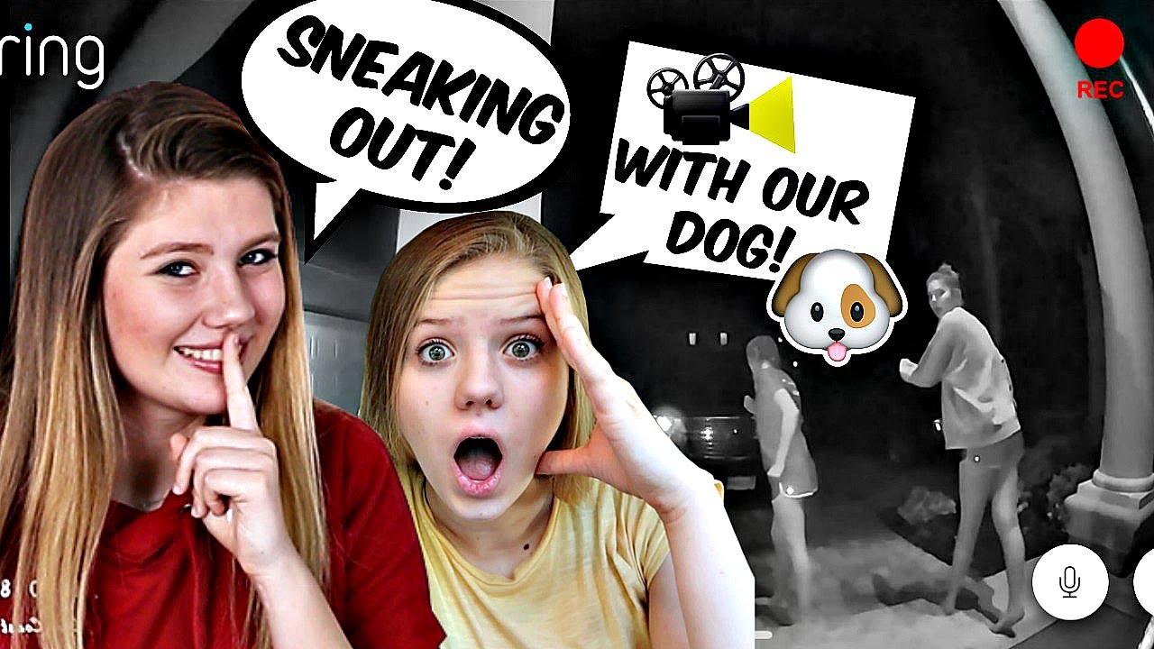 SNEAKING OUT during Quarantine! SNEAKING our DOG into the MOVIES! | Taylor & Vanessa